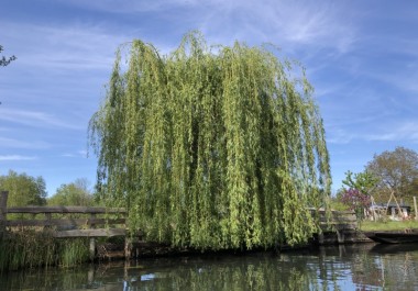 Der Spreewald ist Schönheit