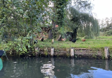 Erkundung vom Spreewald