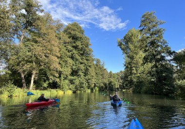 Paddeln im Spreewald